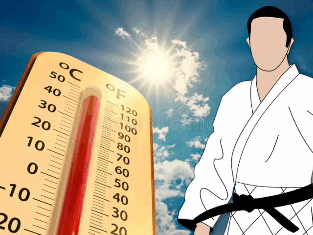 Judo zaterdag 27 juni afgelast
